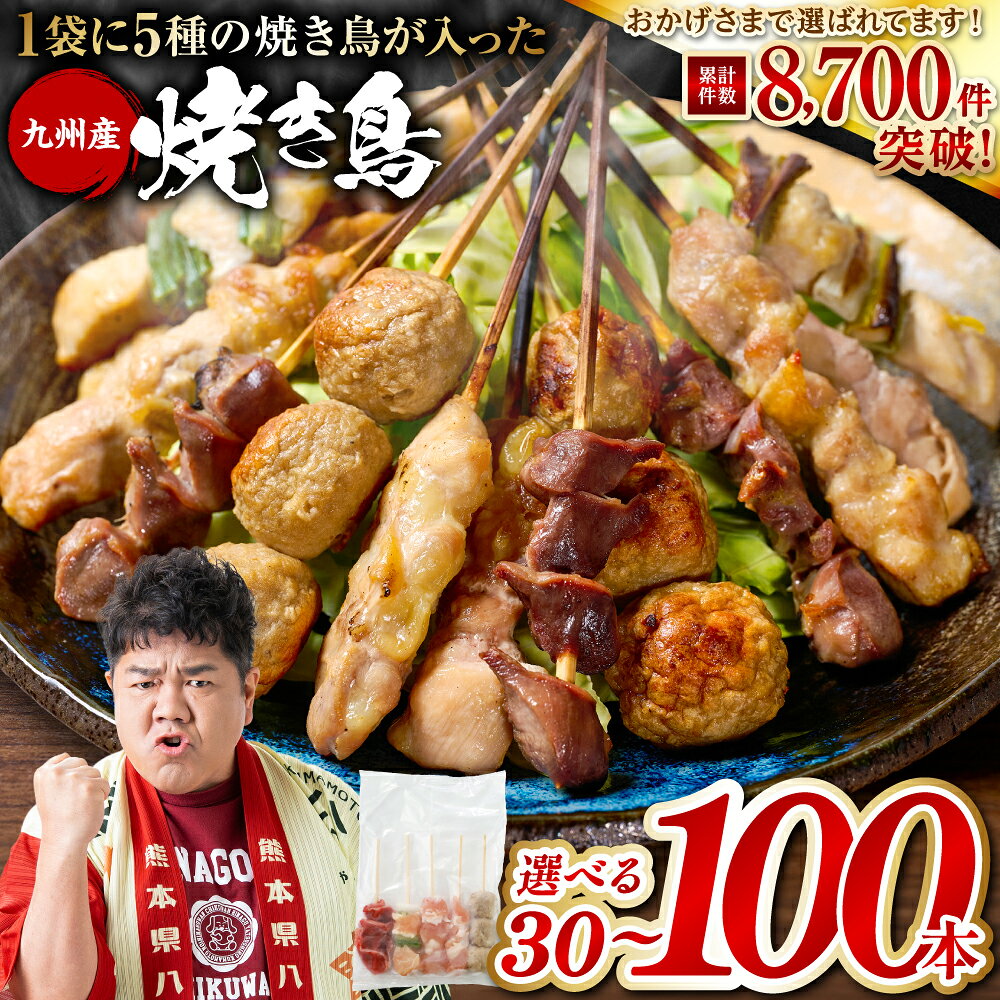 【ふるさと納税】令和8年熊本地震復興支援 焼き鳥 5種 30本〜100本 【選べる容量・発送月・配送回数】 やきとり 焼鳥 串 冷凍 小分けパック 国産 鳥肉 鶏肉 国産鶏 やきとり串 焼き鳥串 焼鳥串 焼き鳥丼 やきとり丼 焼鳥丼 九州産 バーベキュー BBQ アレンジ料理 おつまみ