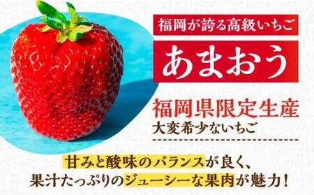 【先行予約】【2月-3月発送】農家直送 あまおう 540g （270g以上 × 2 パック） 土耕栽培《豊前市》【内藤農園】果物 いちご [VAB014]