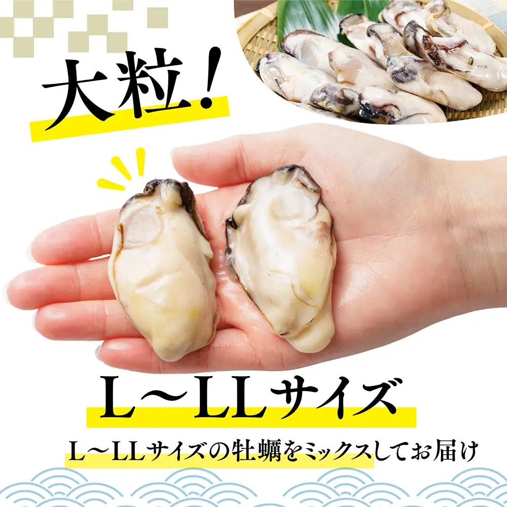 急速冷凍！国産牡蠣 1.5kg（500g×3袋） 4S2