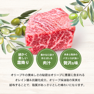 【 小豆島 】香川県のブランド牛 オリーブ牛すじワイン煮 3個セット レトルト レトルト食品 オリーブ牛 牛すじワイン煮 牛すじ ワイン煮 ブランド牛 簡単調理 惣菜 牛丼 小豆島 庄八 香川 香川県