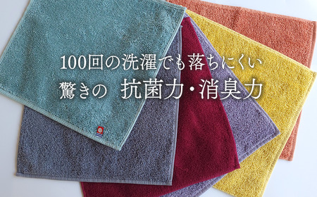 ＜ 今治タオルブランド認定品 ＞ 天然由来の抗菌タオル 「柿渋染め 古来の彩（いろ）」　タオルハンカチ 6枚セット（6色）