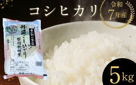 米 京都丹波・亀岡産こしひかり 5kg 精米 白米