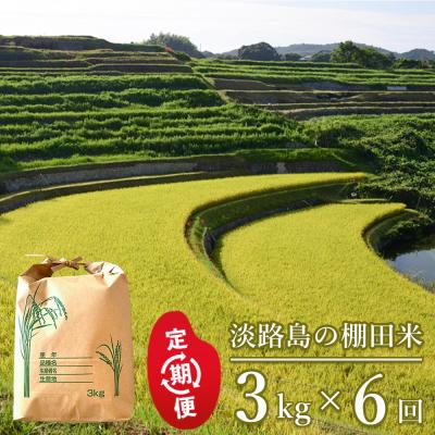 ふるさと納税 淡路市 【定期便】淡路島の棚田米 3kg×6回　精米 白米　ae01083