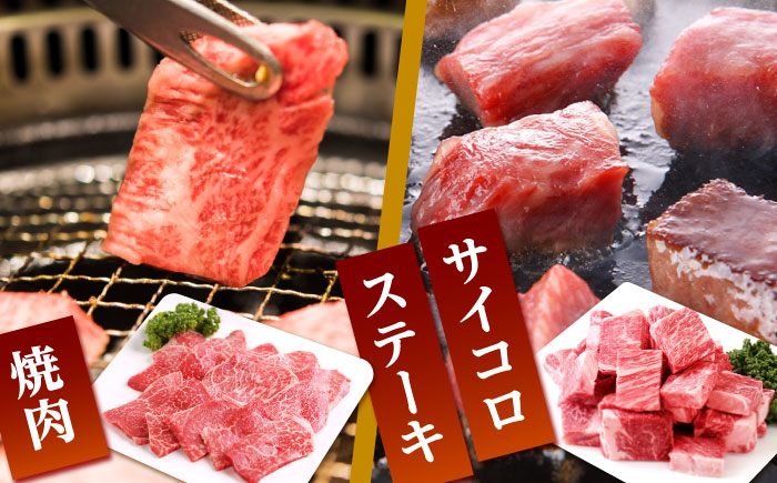 【全12回定期便】佐賀牛 赤身 定期【山下牛舎】 [HAD101]