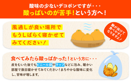 デコポン 無加温 約1.8kg デコポン