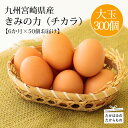 【ふるさと納税】九州宮崎県 赤たまごの定期便年6回 『きみの力（チカラ）』Lサイズ 赤卵50個×6か月 大玉の赤玉子 大容量 コスパ・ボリューム満点卵セット 空気と水のきれいな霧島連山の麓の町でミネラルたっぷりの上質な飼料ですくすく育った鶏の卵はおいしい逸品 送料無料