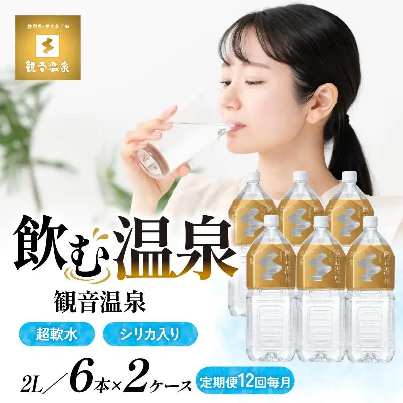 飲む温泉観音温泉2L(6本入)2ケース定期便1年間（毎月）