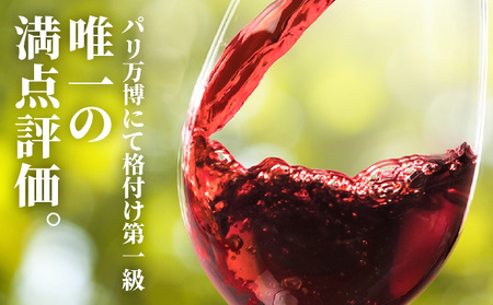 坑道熟成高級ワイン（シャトーマルゴー）1本×750ml | 赤ワイン フランス産 カルベネ・ソーヴィニヨン 熟成高級ワイン 五大シャトー 佐賀県 大町