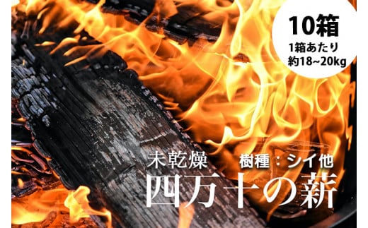 
四万十の薪　未乾燥 シイ他(約18～20kg)×10箱　Bnm-09 四万十の薪　未乾燥 キャンプ 薪ストーブ ストーブ 薪割り 割り薪 まき 乾燥 済 アウトドア キャンプ ファイヤー 焚き火 焚火 森林 林業 木 サウナ
