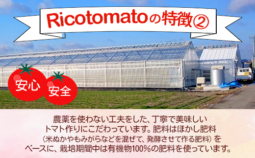 【先行予約】 【2026年1月から出荷】 完熟ミニトマト『Ricotomato』 【1kg×3回定期便】 E-68