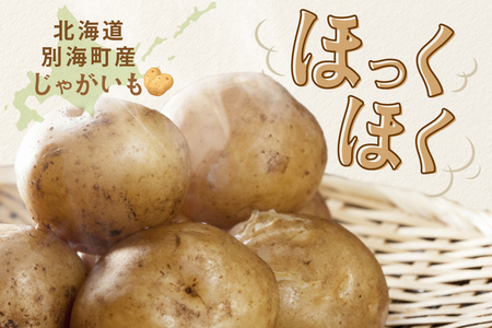 2025年10～12月発送 北海道別海町産 じゃがいも10kg (２種おまかせ)（きたあかり、ワセシロ、男爵、メークイーン、レッドムーン）