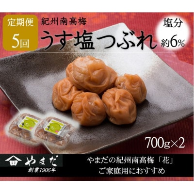 【2ヵ月毎定期便】紀州南高梅うす塩つぶれ(塩分約6%)700g×2全5回【4086718】