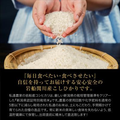 ふるさと納税 関川村 R8年産 関川村産こしひかり 精米5kg ふっくら美味しさ 岩船米 [横山農産] |  | 01