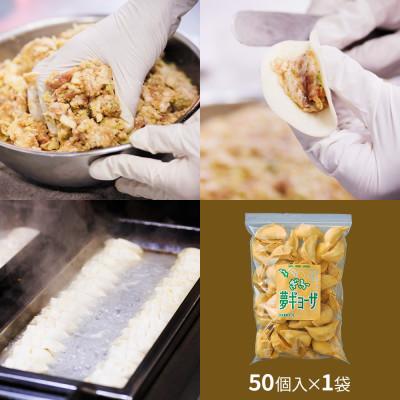 ふるさと納税 本巣市 飛騨牛餃子 50個(50個入×1袋) 生冷凍 |  | 01