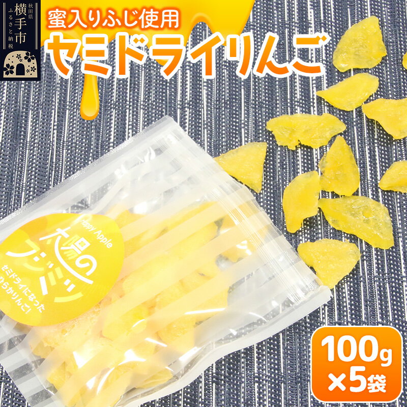 【ふるさと納税】セミドライりんご「太陽のフジミツ」100g×5袋