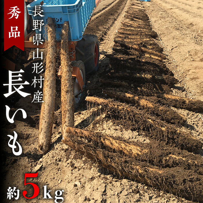 【ふるさと納税】2409 長野県山形村産 秀品「長いも」 約5kg