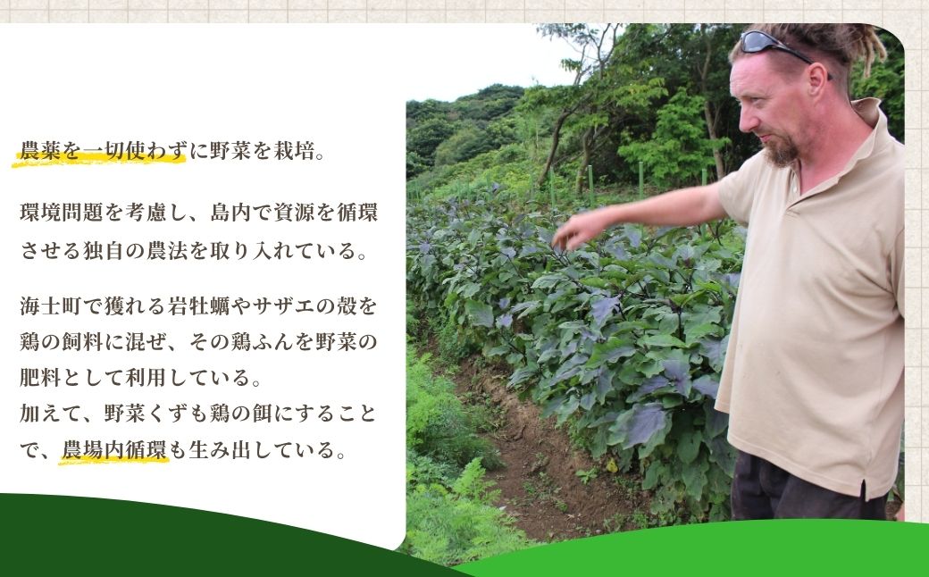 季節の野菜詰め合わせ（5〜6種）！農薬不使用だから安心安全！