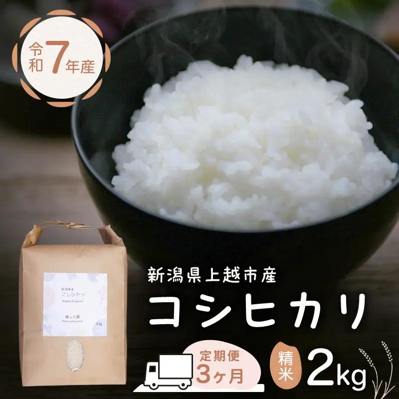 【定期便】横山農園 コシヒカリ 精米 コシヒカリ 2kg