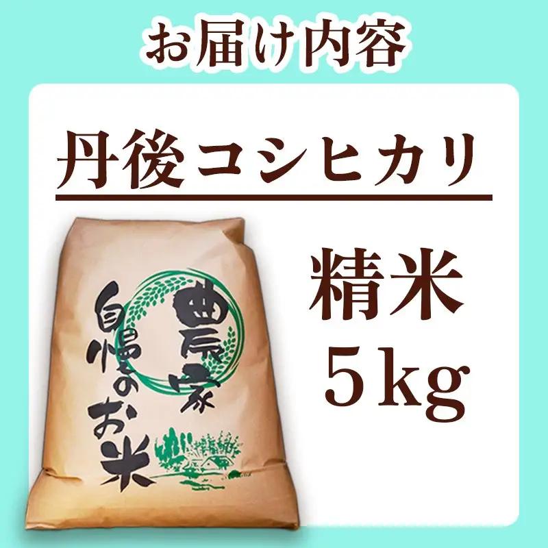 コシヒカリ令和8年 【先行予約】2026年産　京丹後産コシヒカリ 精米5kg 5kg 精米