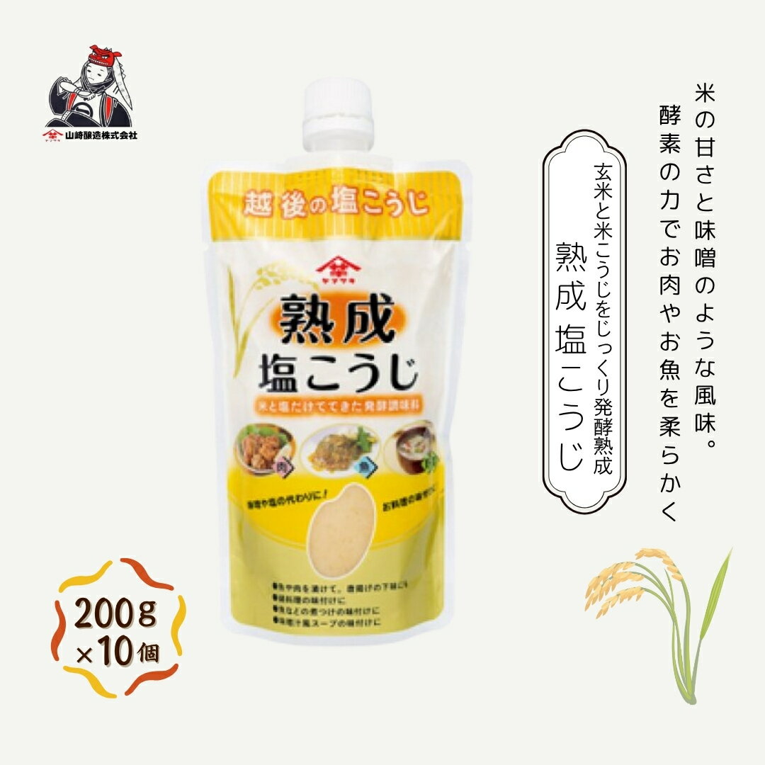 【ふるさと納税】熟成塩こうじ (200g×10個入) 塩麹 万能調味料 山崎醸造 【0002-0234-01】