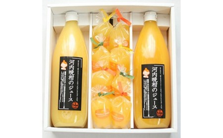 柑橘 ジュース 河内晩柑 1L 2本 河内晩柑 ジュレ 95ml 10個 セット 愛媛 愛南 産 愛媛 みかん 国産 果物 フルーツ 特産品 有名 あいなんマザーズ おいしい ビタミン 送料無料