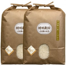 丹波篠山産特別栽培米コシヒカリ5kg×2