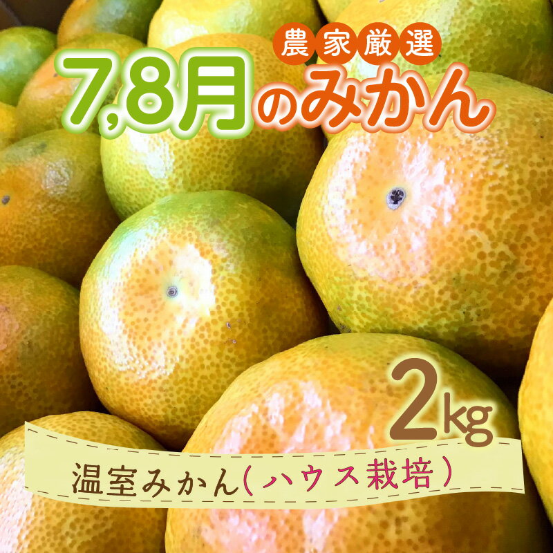 【ふるさと納税】7・8月の御浜柑橘 温室みかん 2kg【御浜町でとれた温室みかんをお届け！】