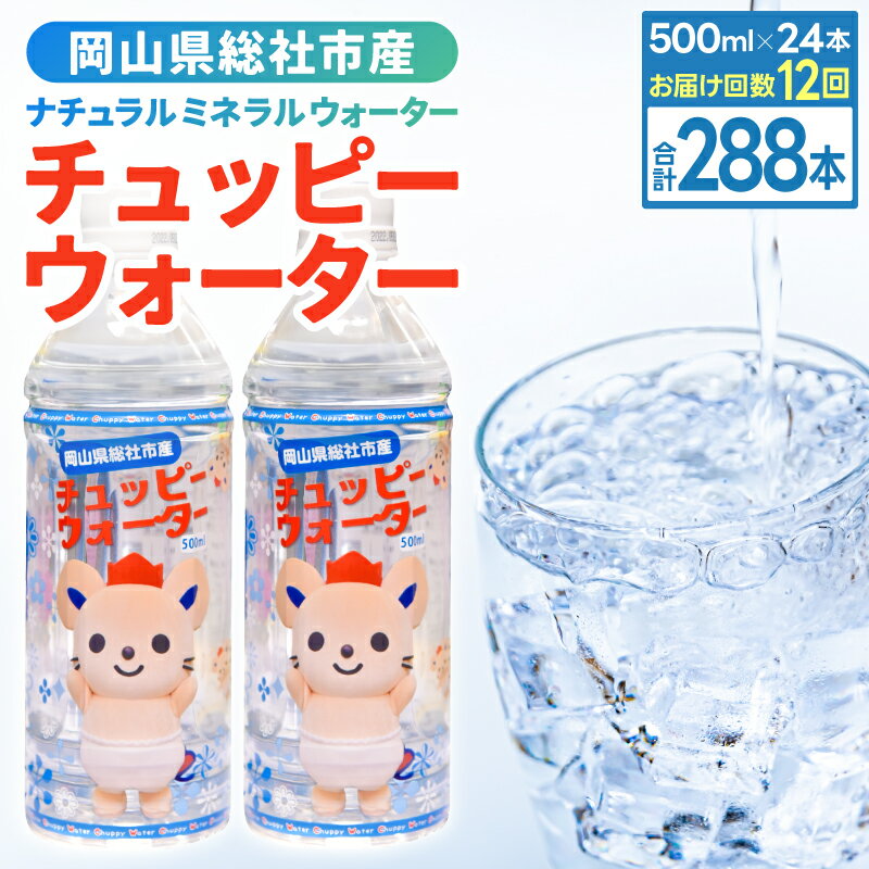 【ふるさと納税】チュッピーウォーター24本入×1ケース 水 ミネラルウォーター 500ml 24本 1ケース 定期便 12ヶ月 156-007
