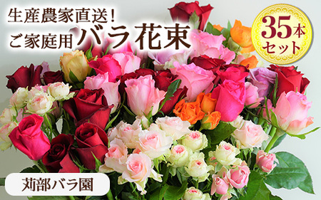 訳あり　生産農家直送！ご家庭用バラ花束35本セット 簡易包装  ※沖縄・離島への配送不可 _AL02