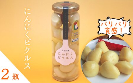 岩手県産 にんにく 使用！ 岩手山麓 にんにくピクルス 120g 2瓶 【岩手ガーリック】 にんにく ニンニク 大蒜 ガーリック ピクルス 漬け物 漬物 つけもの 国産 自然食品 加工食品 食品 長期保存 保存食 瓶 瓶詰め 常温 野菜 滋養強壮 健康 人気 お取り寄せ おすすめ