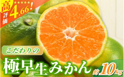 【2026年秋頃発送予約分】【農家直送】こだわりの極早生みかん 約10kg 【数量限定】 有機質肥料100% サイズ混合 ※2026年9月下旬より順次発送予定（お届け日指定不可） / 早生みかん みかん ミカン 有田みかん 温州みかん 柑橘 有田 和歌山 産地直送  くだもの 果物 フルーツ 柑橘類 和歌山 すさみ町【nuk135E】