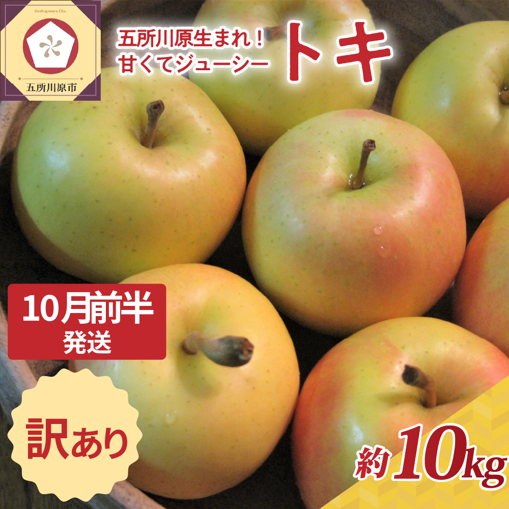 【2025年10月前半発送】訳あり トキ 約10kg
