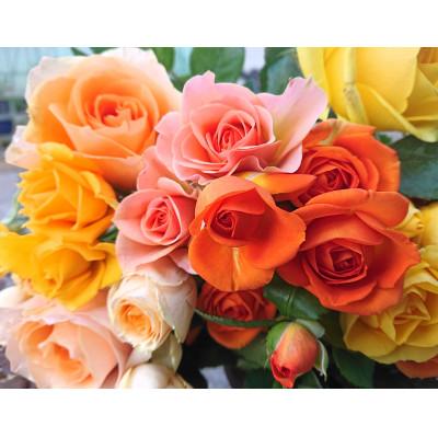 ふるさと納税 杵築市 『天使のバラ』薔薇だけのミニ丈ブーケ(黄オレンジ系)Lサイズ |  | 03