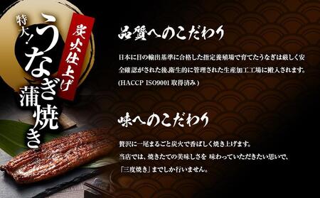 うなぎ蒲焼き2尾入り 480g（蒲焼たれ4袋 山椒付き）