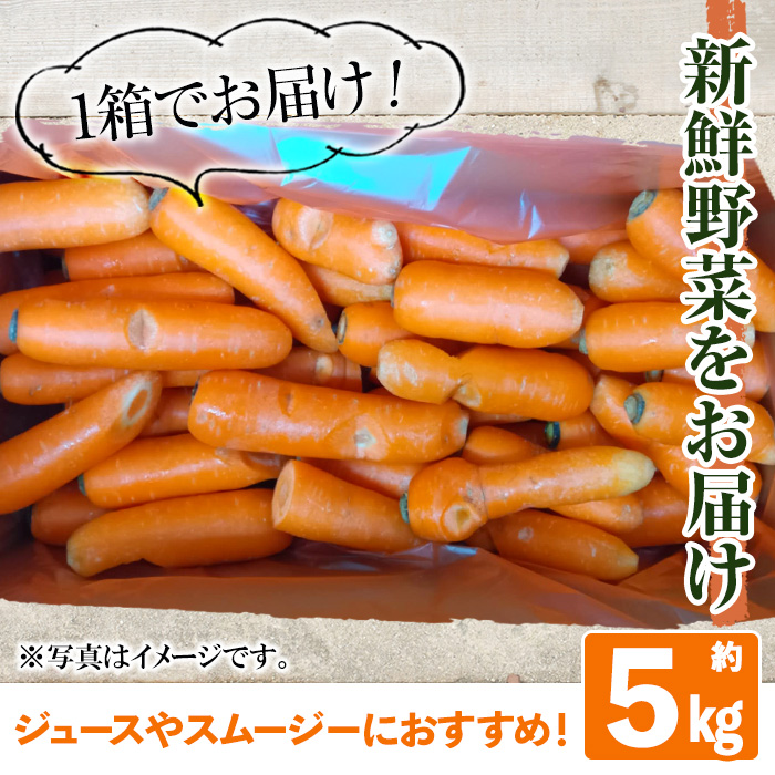y503 ≪訳あり・数量限定≫湧水町産有機にんじん(約5kg) 国産 九州産 鹿児島産 有機野菜 有機栽培 にんじん 人参 ニンジン キャロットジュース 野菜 やさい おかず 旬 わけあり 訳アリ 不