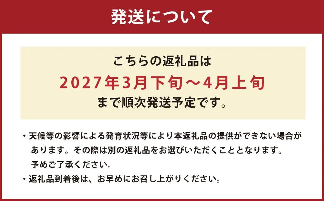 熊本県産 すいか 春のだんらん 5kg以上 スイカ 西瓜 果物 くだもの フルーツ おすすめ ギフト 贈り物 【2027年3月下旬発送開始】