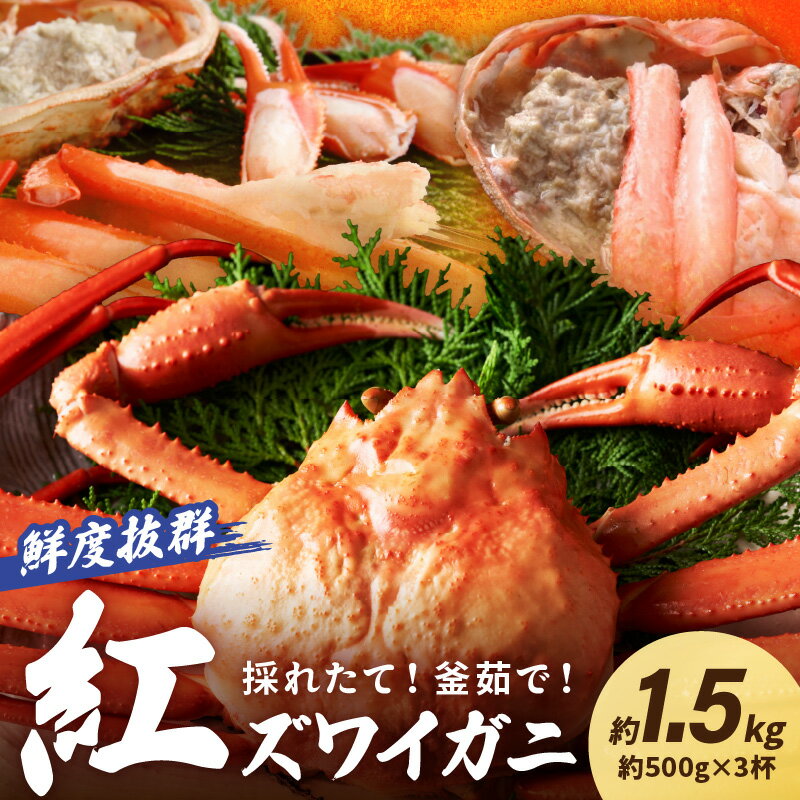 【ふるさと納税】3匹／採れたて！釜茹で！ 紅ズワイガニ 3杯 500g かに カニ鍋 焼きガニ ずわいがに ズワイガニ 肩 蟹 紅ずわいがに ベニズワイガニ 海鮮 カニ鍋 国産 日本海 期間限定 冷蔵 お取り寄せ 高級 香住 蟹味噌 かに味噌 おすすめ 旬 先行予約