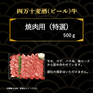 四万十麦酒牛 厚切り特選焼き肉セット（500g）  モモ ウデ バラ肉 肩ロース 詰め合わせ 霜降り 赤身 焼き肉 麦酒牛 冷凍 ／Asz-07