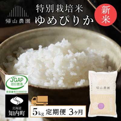 ふるさと納税 知内町 【令和7年産新米予約】【3カ月定期便】特別栽培米産地直送「ゆめぴりか 5kg」《帰山農園》