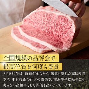 とちぎ和牛100% ハンバーグ 150g×3個セット ｜ 牛肉 和牛 100% 肉 ブランド牛 高級 ハンバーグ 栃木県共通返礼品