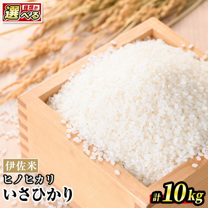 【ふるさと納税】＜種類が選べる！＞いさひかり 普通米 or 無洗米 (5kg×2袋・計10kg)お米 米 白米 精米 伊佐米 ご飯 ヒノヒカリ 無洗米 普通米【JA北さつま】【A6-02】