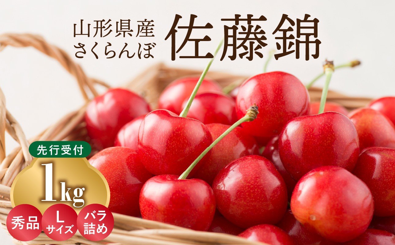 
            《先行受付》さくらんぼ 佐藤錦 1kg 秀品 Lサイズ バラ詰め【2026年6月中旬頃～発送予定】【山形県産さくらんぼ】 【001-070】
          