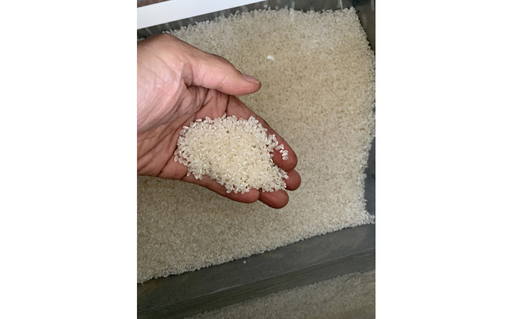 1261.＜令和７年産＞ たかた農園のお米「きぬむすめ」はでかけ　天日干し【精米10kg】 313726_CR001