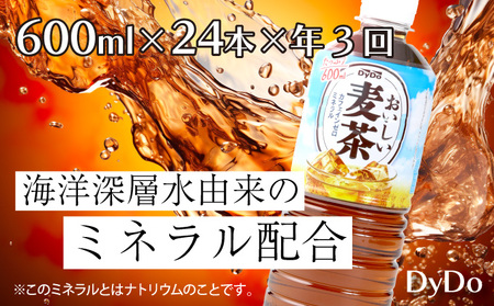 おいしい麦茶 3か月連続お届け 600ml×24本×3回 合計72本 DyDo ダイドー 麦茶 むぎ茶 カフェインゼロ お茶 飲料水 ペットボトル ドリンク 定期便 3ヶ月 送料無料 麦茶 飲料 茶 麦茶 飲料 茶 麦茶 飲料 茶 麦茶 飲料 茶 麦茶 飲料 茶 麦茶 飲料 茶