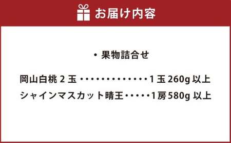 ぶどう 2024年 先行予約 果物 詰合せ 岡山 白桃 2玉 等級：ロイヤル（1玉260g以上） シャイン マスカット 晴王 1房 580g以上 もも 葡萄 岡山県産 国産 フルーツ 果物 ギフト