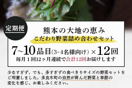 【定期便12回】熊本の大地の恵み 旬の こだわり野菜詰め合わせセット 7?10品 （3?4名様向け）12カ月配送 獲れたて 新鮮 野菜 セット 詰め合わせ 詰合せ 定期便 産地 直送 国産 季節 旬野菜 家族 ファミリー 多良木町 024-0812