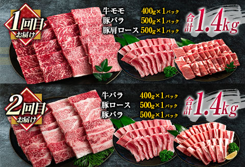 数量限定 6か月 お楽しみ 定期便 宮崎牛 モモ バラ 肩ロース ロース ミスジ ウデ 豚肉 豚バラ 焼肉 食べ比べ セット 総重量8kg以上 肉 牛 豚 国産 宮崎県産 食品 送料無料_M21-23