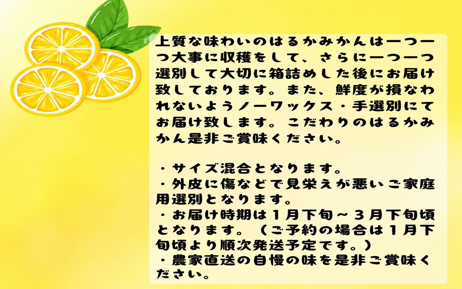 【先行予約】【人気柑橘】有田育ちの はるか みかん（訳あり 家庭用）約1kg+200g(傷み補償分) ※2027年1月下旬～3月下旬に順次発送予定 ※着日指定不可【ard251】