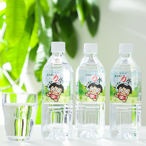 おためしAセット 南足柄 金太郎の力水 ラベルレス 500ml×48本（24本入×2箱）【 飲料水 天然水 ミネラル ウォーター 美味しい 水 お水 まとめ買い 災害 備蓄品 保存 神奈川県 南足柄市