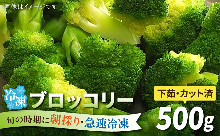 
ブロッコリー 500g 冷凍 旬の時期に急速冷凍 【福岡県糸島産】 糸島市 / オーガニックナガミツファーム 野菜 [AGE043]

